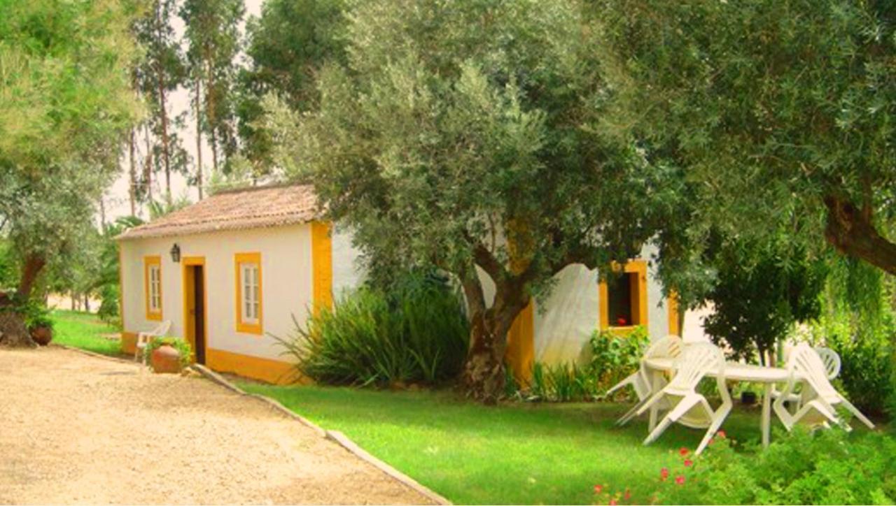 הוילה Constância Quinta Do Pinhal מראה חיצוני תמונה
